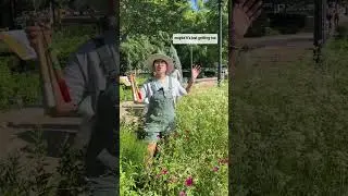 Horticulturist shares about the seasonal gardening technique known as the #ChelseaChop.