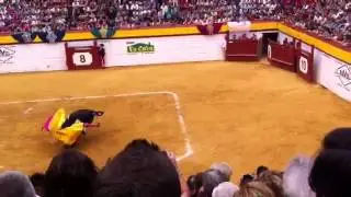 Toros algemesi ! Cojida grave.