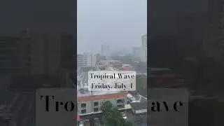 🌪️ Tropical Wave Update 🌪️