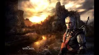 The Witcher играем и общаемся!