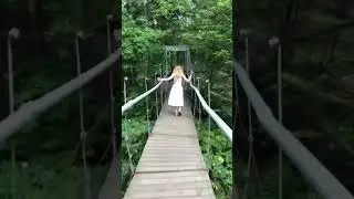 29 ноября 2023 г.