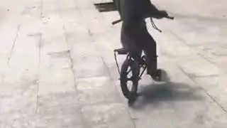 Обезьяна на велосипеди,врезалась в дерево..