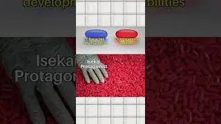 Funny Anime Memes that Started WW3