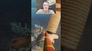 Bowhunting TWO MONSTER RED DEER!!! 😳😳😳- Call of the Wild 