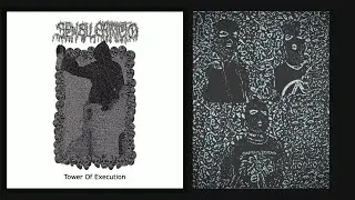 SENSU STRICTO - Tower Of Execution (Full EP 2025)