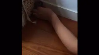GERBERTS hamster lucky
