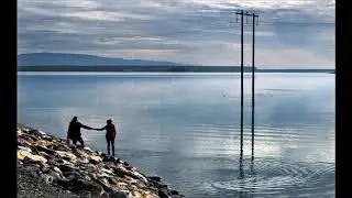 Pylons on the Nelson Estuary