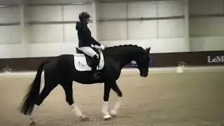 Improve Your Walk With Charlotte Dujardin