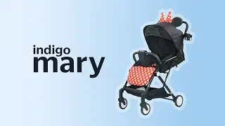 Коляска INDIGO Mary