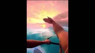 Beautiful Nature Sea 🏂| Surfing | New Video | USA Video 😎