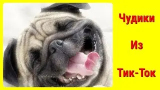 ЧУДИКИ ИЗ ТИК-ТОК / ПРИКОЛЫ В ТИК-ТОК / TOP TIK-TOK 2022 / НОВЫЕ ПРИКОЛЫ 2022...