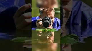 Perfectly Timed Photos #shorts