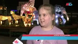 Дикая Африка в Волгограде. Сюжет ГТРК