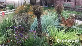 Обзор участка🍁🍂🍁осень