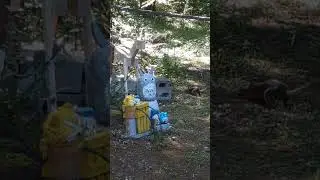 5e74733b 1952 4065 ba75 9357dabacb73