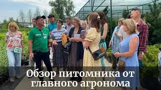 Обзор питомника 