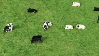 DJI Mavic 3 14X Zoom Sample footage