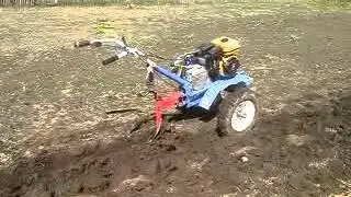 Мотоблок Neva пашет сам
