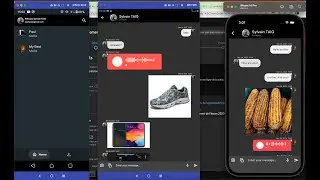 Flutter: Chat Application with Sending Audio, Text, Image, and Video Files