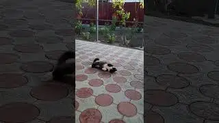 Боня кайфует