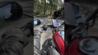 Easy ride down the mountain in wa   #harleydavidson #sportster1200 #sportster #cruiser #motorcycle 