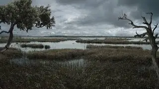 landscape Photomanipulation - Art Process (depression)