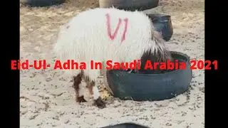 Eid Al-adha In Saudi Arabia 