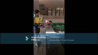 GENIUS Olympiad 2025- ECODRIFTER A FLOATING-WASTE REMOVING DEVICE