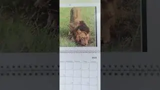 🇿🇦❣🇿🇦👏
