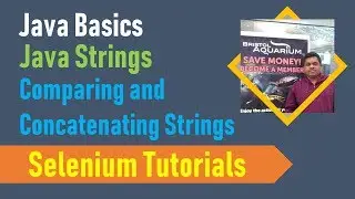 21B. Java Basics for Selenium - Java Strings - Comparing and Concatenating two strings