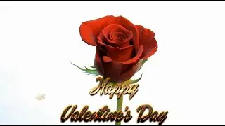 Happy Valentine's Day 2021 ! Love Me With All Your Heart