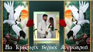 НА КРЫЛЬЯХ БЕЛЫХ ЖУРАВЛЕЙ