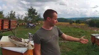Утепляємо слабкі сімї.  Зльоти та напади причина Покинута пасіка