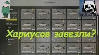 Русская рыбалка 4. Спиннинг на реке Белая. Проверка фарма.