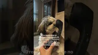 Бабушки они такие 😄