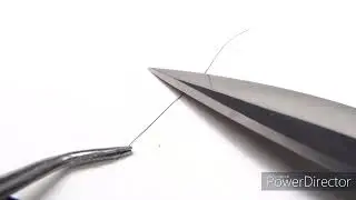 hair cut in half-Titanium Carbide Edge.