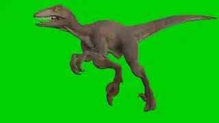Green Screen: Dinosaur Running   Chroma Key Full 1080p HD