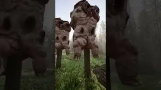 Holey on a Poley? 
