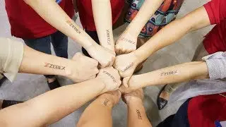 ZEBEX │2018 Computex Review