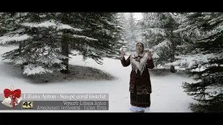 Liliana Anton - Sus pe cerul instelat 4K