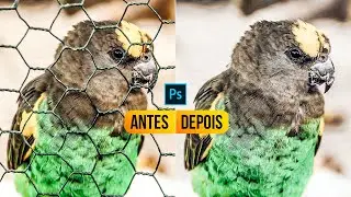 Como remover grade no Photoshop + Animação de antes e depois + Desafio divulgando o seu trabalho!
