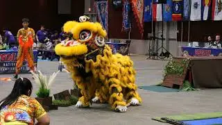 USDLDF National Dragon and Lion Dance Championships 2023 Austin Texas- mua lan 4K