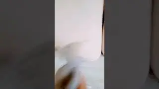 Нинка и Аллка 🤣 #рекомендации