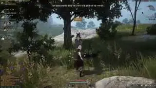 Black Desert Horse Taming Registering and Riding HD
