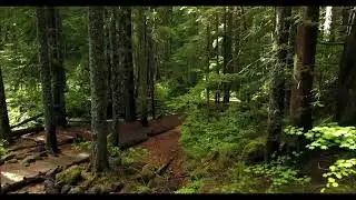 Wonderful and sublime music of nature with a handpan harpe (No copyright)