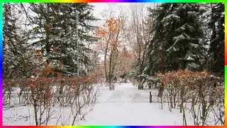 А на улице зима зима зима Начало зимы Видеозарисовки ❄️❄️