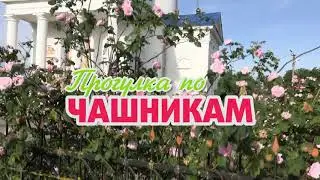 Прогулки по Чашникам 4 серия
