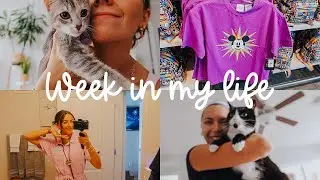 WEEK IN MY LIFE // new kitten + wedding prep!!
