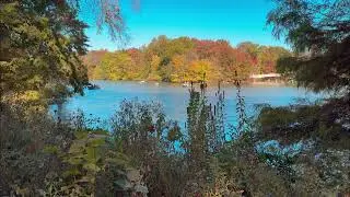 IPhone 15 Pro filming in Central Park  in October 2024, using the Blackmagic App