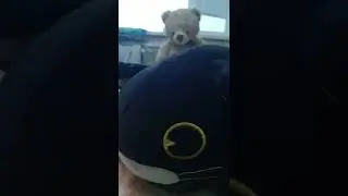 Pov мои игрушки